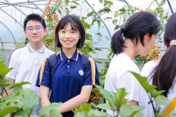 >情境使命鼓舞学生运用科学探求工程规划和智能创造力完结应战